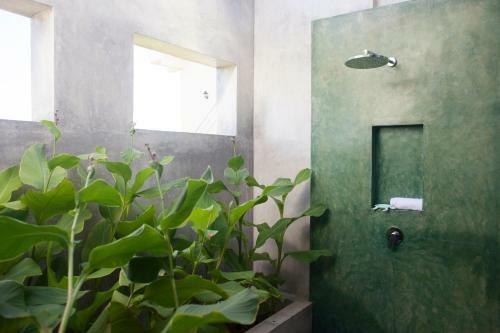 Wild Lotus Villa- Yala