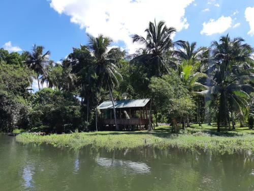 Hotel Yonan River Face Safari Resort