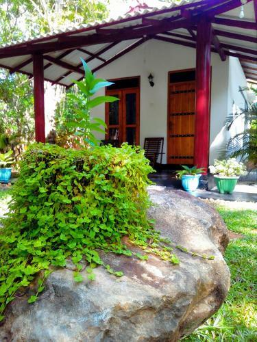 Hostal Bright Sun Safari Hotel