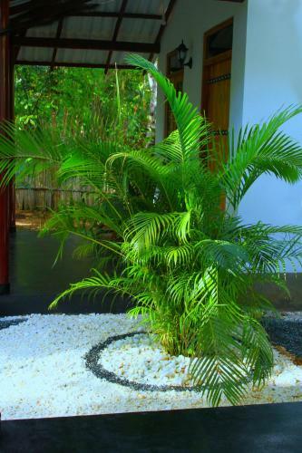 Hostal Bright Sun Safari Hotel