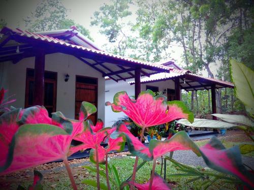 Hostal Bright Sun Safari Hotel