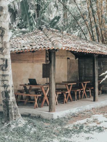 Hostal Dream Ocean