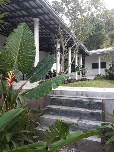 Hostal South House-weligama