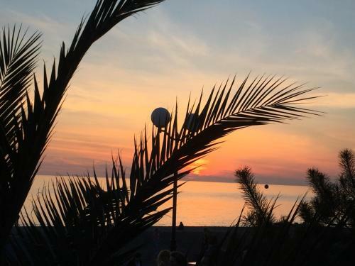 Hostal Guesthouse Leto 15