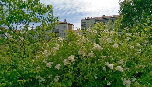 Happy Place Apartments Suvir