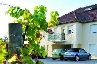 Hotel Park & Suites Confort Dijon