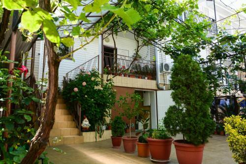 Hostal Guest House Zvezdochka
