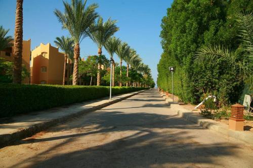 Spacious Apartment In Stella Makadi