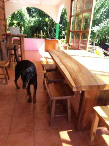 Hostal El Zonte Hills