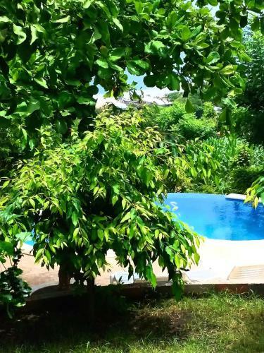 Hostal El Zonte Hills