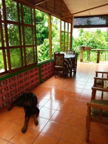 Hostal El Zonte Hills
