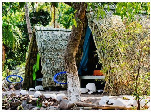 Albergue The Black Cat - El Zonte