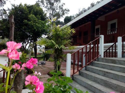 Hotel Posada De Don Porfirio