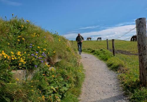 Ballybunion Holiday Homes No 21