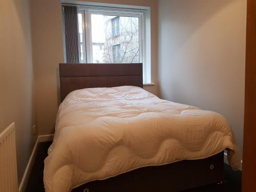 2 Bed Apartment Near The 3 Arena Sleeps 4