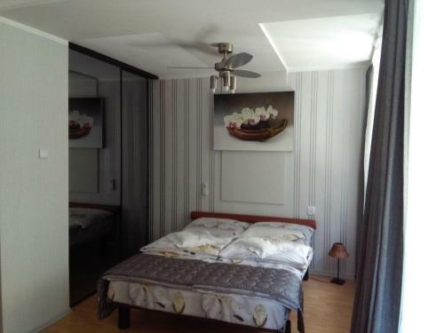 Apartament Senator