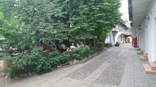 Ok Kazimierz Apartments