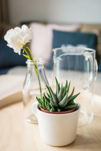 Apartamenty Nadmorskie