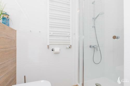 Feniks Apartamenty - Vacation Park Spa
