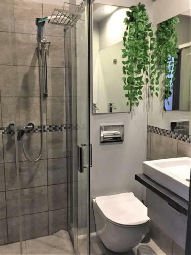 Apartamenty Zacisze