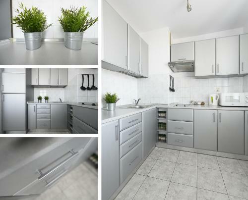 Piotrkowska Apart