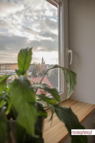 Apartamenty Centrum - Sunshine