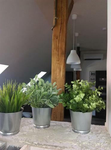 Apartament Przy Rynku