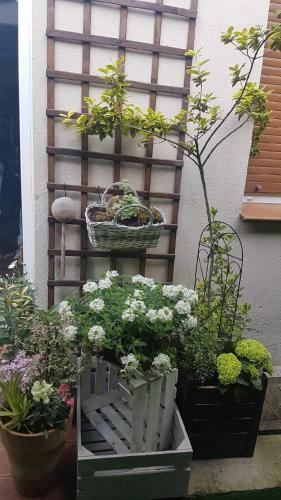 Apartament Tej
