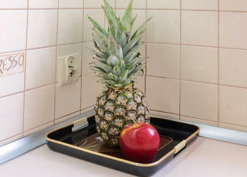 Apartamento Noclegisopot - Mieszkanie Kava
