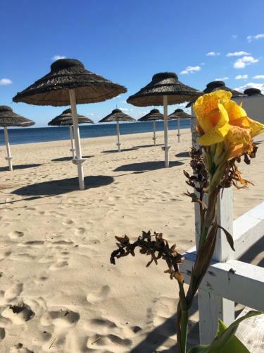 Jp Sopot Apartamenty