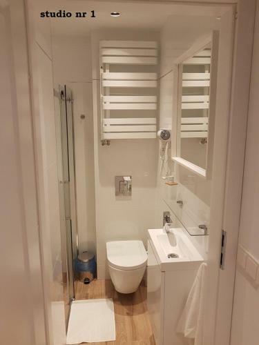Apartamento Karlikowskainn