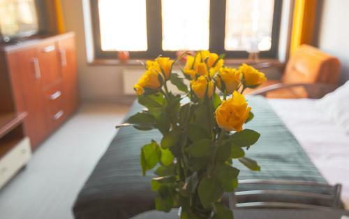 Apartament Centrum