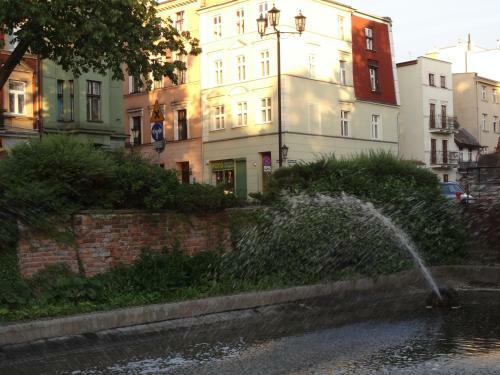Apartament Kopernika 47