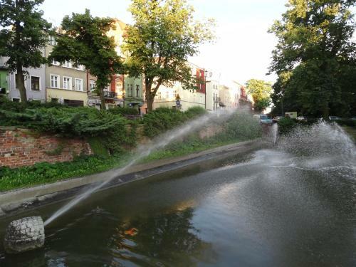 Apartament Kopernika 47