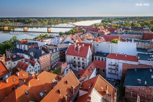 Apartamenty Koci Ogon