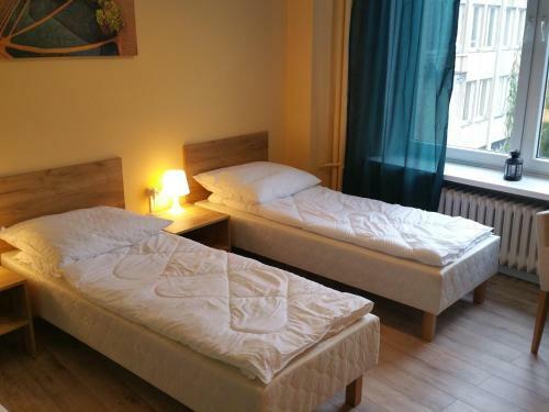 Albergue Kaktus Guest House 2