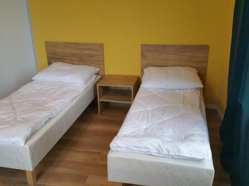 Albergue Kaktus Guest House 2