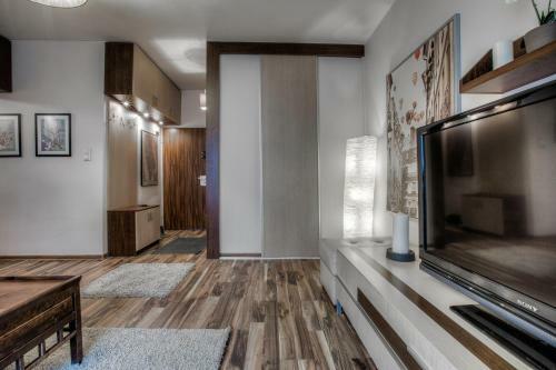 Apartment Hoza 5