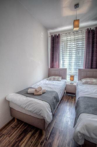 Apartment Hoza 5