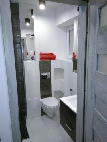 Apartament Salezego