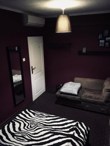 Team Hostel