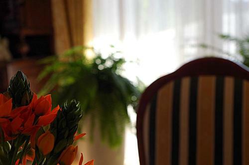 Hotel Dworek Emilli