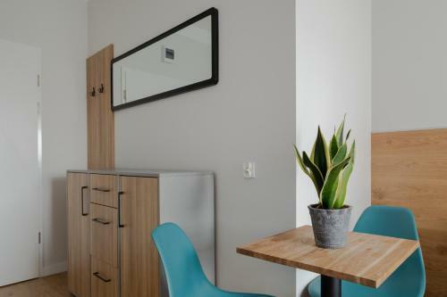 Moho Xl Hostel