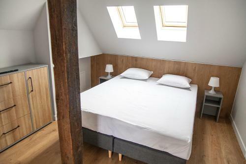 Moho Xl Hostel