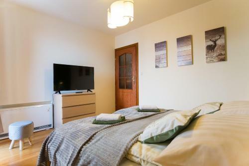 Apartament Pod Anta?�wk? Zakopane