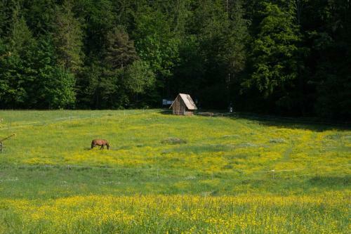 Domek Trzy Doliny Zakopane - Three Valleys Chalet Zakopane