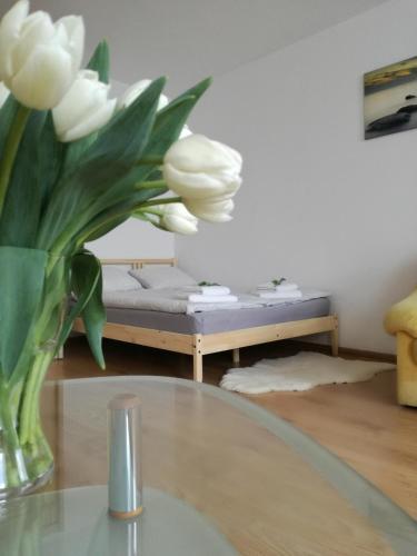 Apartamenty Interdom