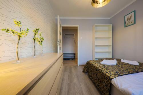 Rentplanet - Apartment With Mountain View
