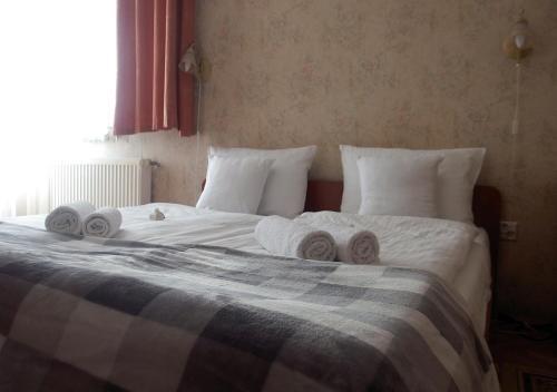 Bed & Breakfast Pensjonat Janosik