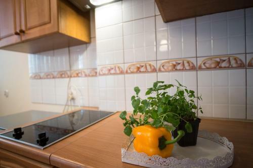 Apartament Negro Centrum